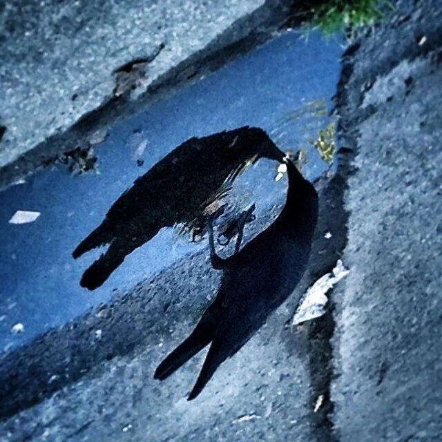Felix's ancestor, offering and accepting gifts at the threshold between worlds.